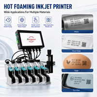 Impresora TIJ, Máquina de Codificación Industrial para Piezas Metálicas, Mascarillas, Huevos, Películas para Automóviles, Fecha de Caducidad, Lote, Código de Barras, Código QR, Impresión de Logotipos