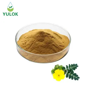 مصنع توريد المكملات الغذائية النباتية الطبيعية النقية بودرة استخراج Tribulus Terrestris