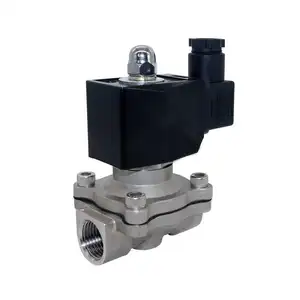 Válvula Solenoide de Gas y agua de acero inoxidable 2S160-15 2W160 12V AC220V, válvula de solenoide cerrada Normal de 2/2 vías de acción directa