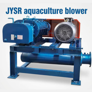 JYSR China Factory's 220V AC High-Pressure Roots <b>Blowers</b> Cast Iron Blades Industrial Wastewater Treatment OEM Customized Support - Product Image 2