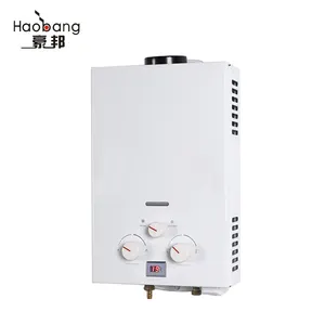 China supplier wholesale economic gas water heater with white coating panel