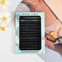 Faux cils segmentés thermofusibles 110Dd, 14 rangées, grande capacité, style européen et américain, courbés et épais, pour l'exportation