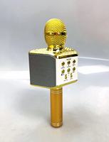 WS868 système de cinéma domestique Portable Rechargeable sans fil Mini haut-parleur karaoké BT avec Microphone