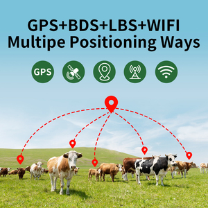 Rastreador <span class=keywords><strong>GPS</strong></span> GLONASS <span class=keywords><strong>para</strong></span> Animales, Dispositivo <span class=keywords><strong>de</strong></span> Rastreo <span class=keywords><strong>de</strong></span> <span class=keywords><strong>Ganado</strong></span>, Collar 4G, Mini <span class=keywords><strong>Chip</strong></span> Agrícola <span class=keywords><strong>para</strong></span> Vacas, Ovejas, Cabras, Caballos, Localizador <span class=keywords><strong>GPS</strong></span> - Product Image 2