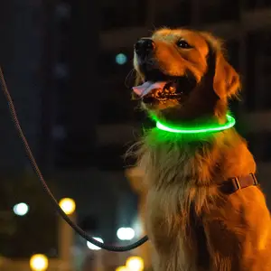 Collar luminoso de neón para Perro, Luz Led de seguridad nocturna, accesorio para mascotas