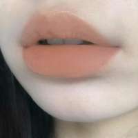 Mini Gloss à Lèvres Mat Velouté Formule Naturelle en Gros, Boîtes d'Emballage Cosmétiques, Coffrets Cadeaux de Gloss à Lèvres Imperméables, Lisses et de Haute Qualité