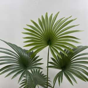 Palmier Tropical Artificiel de Simulation 1.6/1.8m Maison Fruit Vert Palmiers Ventilateur Artificiel Palmier Arbre en Pot - Product Image 5