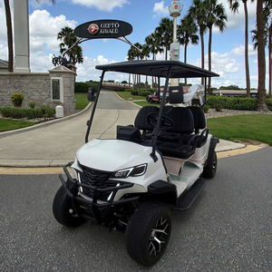 Carrito de Golf Todoterreno Personalizado de 4 Plazas, Eléctrico, con Certificación CE, GCC y EEC para Carreteras No Públicas - Product Image 1