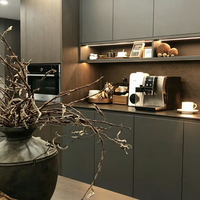 Buffet moderne minimaliste en bois foncé avec éclairage LED et four encastré pour hôtel et cuisine, rangement pour bar à café