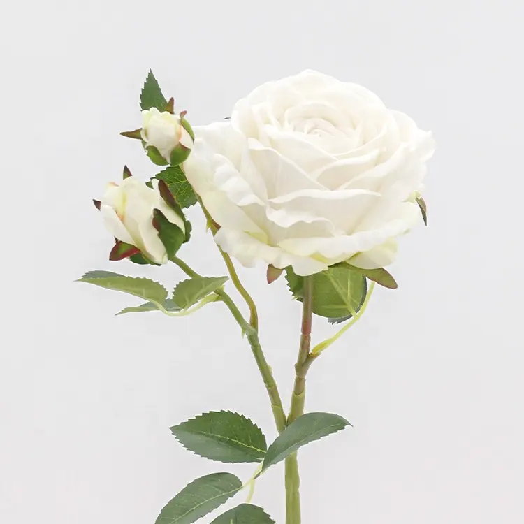 2021 פרחים עלה עיצוב הבית אינפיניטי רוז מתנות קדבורי <span class=keywords><strong>ורדים</strong></span>