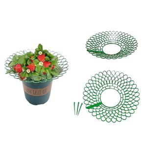 Cremagliera di coltivazione tridimensionale fragola, supporto per piantare, vassoio quadrato per la coltivazione di fragole - Product Image 4