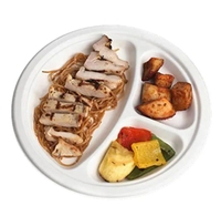 Assiettes en bagasse compostables de 9 pouces, biodégradables, résistantes à l'eau et compatibles micro-ondes pour le camping, les fêtes et la restauration
