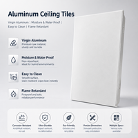 Panneaux de plafond en aluminium sur mesure, finition décorative, design moderne, faible MOQ, usage commercial