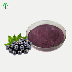 Nho nho đen bột trái cây 100% nước hòa tan nho đen bột - Product Image 1