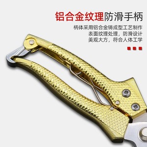 Bonitas tijeras de podar de acero inoxidable con forma de pico de 53 mm, mango antideslizante dorado para cortar ramas gruesas en el jardín. - Product Image 2