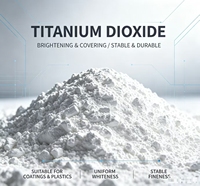 A100-C Dióxido de Titanio Nano Anatase de Grado Industrial, Alta Cobertura, Alta Intensidad de Tinte, para Pinturas y Recubrimientos, Hebei Botai 98%