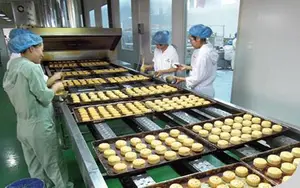 Gas Tunnel Oven Industrial Baking Oven Tunnel Automatic Tunnel Oven For Bread/pita Bread Line Food Baking Oven