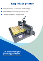 Nouvelle plateforme d'impression sur axe XY pour œufs, imprimante jet d'encre TIJ, encre à séchage rapide, impression automatique de logo/date/code QR, garantie 1 an
