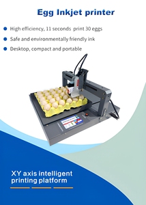 Nueva Plataforma de Impresión de Huevos con Eje XY, Impresora de Inyección de Tinta TIJ, Tinta de Secado Rápido, Impresión Automática de Logotipos/Fechas/Códigos QR, 1 Año de Garantía - Product Image 4