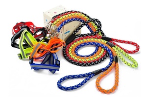 Guinzaglio e Pettorina Imbottiti in Nylon Riflettente con Fibbie per Cani di Piccola e Media Taglia - Passeggiate Notturne - Product Image 3