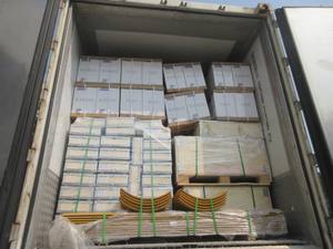 أسنان قادوس جانبية لـ ZL30G/LW300, LW300FN أجزاء المحمل 250900263 , 250900264 - Product Image 6