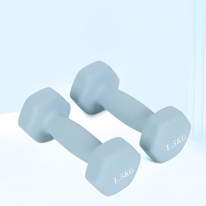 Venta al por mayor uso femenino gimnasio y equipo de fitness en casa mancuernas hexagonales de goma - Product Image 4