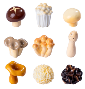 Resina in miniatura simpatico cartone animato Shiitake enoki re ostrica funghi ostrica spugnole fungo bianco fungo nero fata ornamenti da giardino - Product Image 5