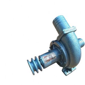 Bomba Centrífuga CB80-160 de Gran Caudal y Alta Presión, Bomba Agrícola de Una Etapa para Riego de Huertos y Campos de Cultivo - Product Image 2