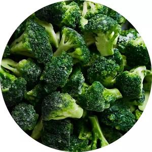 Brocoli surgelé IQF biologique halal <span class=keywords><strong>de</strong></span> serre, prêt à consommer, le plus vendu, vente en gros Shandong - Product Image 1