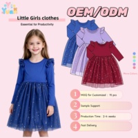 Robe de princesse d'automne pour filles, manches longues, épaules à volants, jupe en tulle à sequins étoiles, tenue de fête personnalisée OEM