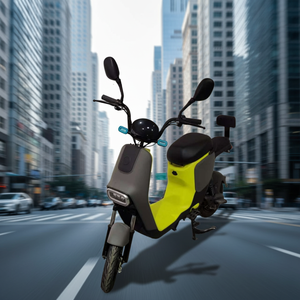 Vélo <span class=keywords><strong>cargo</strong></span> électrique pliable 48V pas cher, dernière version, avec moteur à moyeu avant, vélo de ville pour adultes - Product Image 3