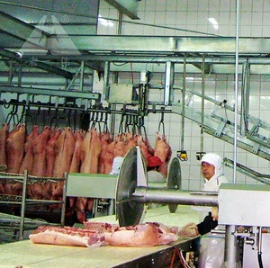 เครื่องฆ่า<span class=keywords><strong>หมู</strong></span>,เฟอร์นิเจอร์สำหรับโรงฆ่าสัตว์เครื่องฆ่าหมู - Product Image 6