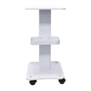 Hot Selling Stainless Steel 4-Wheel Heavy-Duty <b>Salon</b> Trolley for Modern Beauty <b>Salon</b> and Home Office Use - Product Image 1