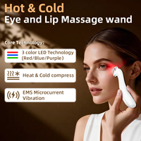 Draagbare ijsbollen Handheld Hot Cold Eye Lip Massager Home Facial Skin Lifting Device voor dagelijkse huidverzorgingsbehandeling Beauty Tool