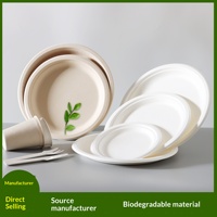 Assiettes jetables en pulpe de canne à sucre épaissie, biodégradables, pour salades, collations, gâteaux d'anniversaire, barbecues, et plateaux de peinture artistique – Abordables