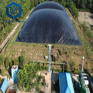 Biogas DigesterプロジェクトのためのパキスタンのポリエチレンシートのGeomembrane価格