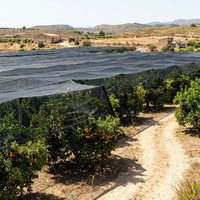 Toile d'ombrage premium en HDPE tricoté, résistante aux UV, pour l'agriculture, les serres, les fermes de légumes et les jardins