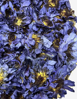 Fleurs de lotus bleues séchées brutes, lys bleus égyptiens, fleurs entières pour formule de thé personnalisée