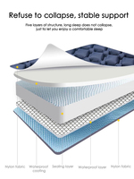 Matelas de camping gonflable double en TPU avec pompe à pied et oreiller, lit d'air portable et imperméable pour la randonnée