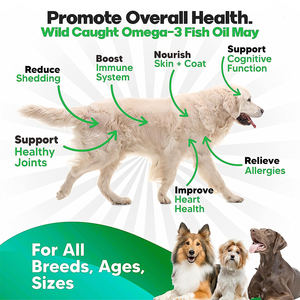 0mega3 Salmon Óleo de Peixe Cápsulas para Cães-Suporta Pele & Articulações Alergia/Litch Alívio Suporte Imunológico Vitaminas & Minerais Contagem 90 - Product Image 2