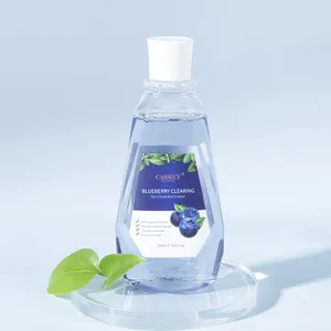 캐시이 도매 개인 라벨 구강 세척제 천연 유기농 블루 베리 과일 구강 관리 깨끗한 독특한 냄새 구강 세척