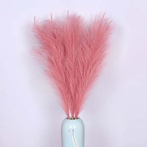 Popular Faux <span class=keywords><strong>Pampas</strong></span> Fluffy 110cm <span class=keywords><strong>120</strong></span> <span class=keywords><strong>Cm</strong></span> Artificial <span class=keywords><strong>Pampas</strong></span> Hierba Reed Faux Silk <span class=keywords><strong>Pampas</strong></span> - Product Image 5