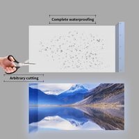 Pantalla de película LED P20 impermeable para exteriores, pantalla flexible a todo color con tamaño no estándar para aplicaciones de vídeo