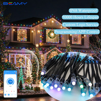 Nouveauté 2026 : Lumière LED Pixel RGB 12mm 12V IP68, Éclairage Pointe Commercial Extérieur Permanent, Contrôle par APP, Décorations de Noël