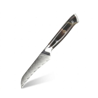 Nieuw ontwerp 3,5 inch professioneel Damascus staal keuken fruit- en schilmes met koperen hars handvat