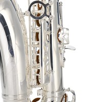 Silver Plated Eb Alto Saxophone-Professional Brass Instrument YTM-710 with Rust Resistant Finish Case & Accessories