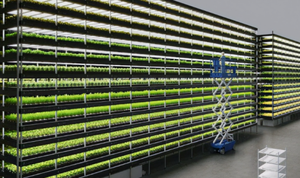 One-One Commercial Multispan Vertical Hemp Hydroponic Grow Racks <b>System</b> Medical Agricultural Plant Growth Core Pump <b>Irrigation</b> - Product Image 2