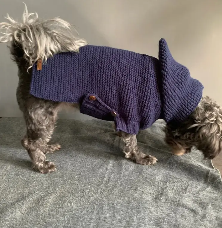 Qiqu Pemasok Hewan Peliharaan Kustom Baru Desainer Anjing Hoodie Sweater Rajutan Tangan Sweater Buatan Tangan Rajutan Rajutan Kecil Schnauzer Miniatur