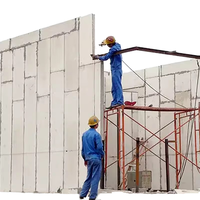 Paneles Sándwich de Lana de Roca y Cemento, Ignífugos por 5 Horas, Ecológicos, Insonorizantes, de Instalación Rápida, Ligeros, con Aislamiento Integrado