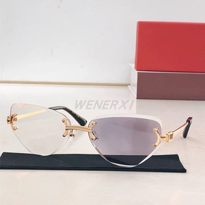 Gafas de Sol de Diseño Personalizado Color Rosa, Montura Pequeña, Sin Marco, Ovaladas, con Degradado de Color, Unisex, de Lujo para Mujer - Product Image 6